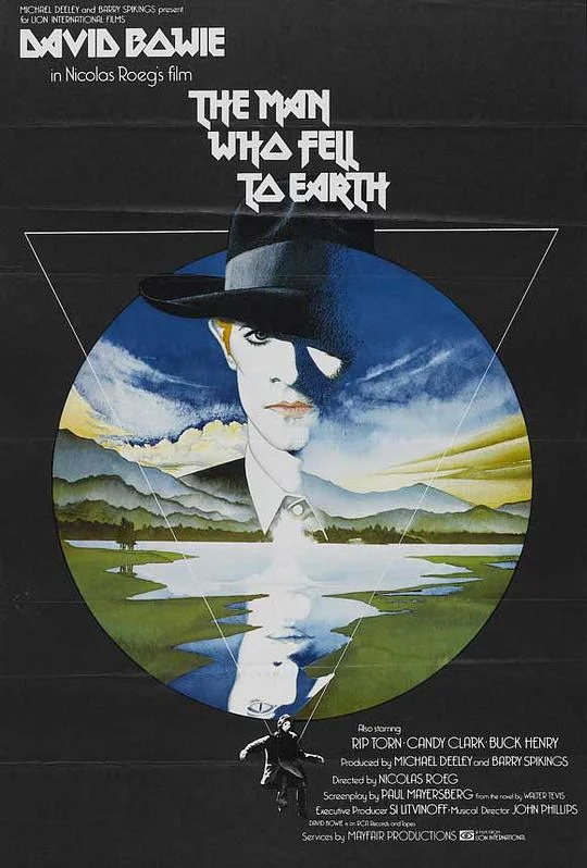 天外来客 The Man Who Fell to Earth (1976)