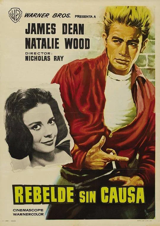 无因的反叛 Rebel Without a Cause (1955)