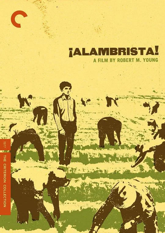 阿兰布里斯塔 Alambrista! (1977)
