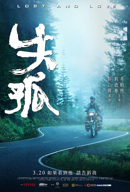 失孤 (2015)