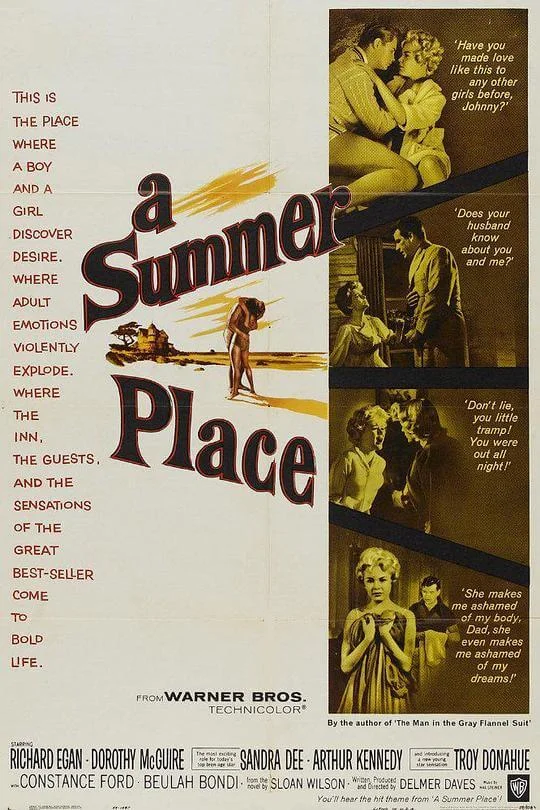 畸恋 A Summer Place (1960)