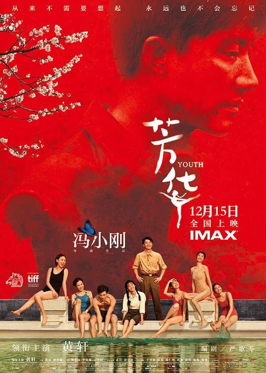 芳华 (2017)