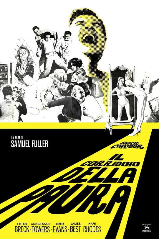 恐怖走廊 Shock Corridor (1963)