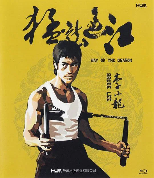 猛龙过江 猛龍過江 (1972)
