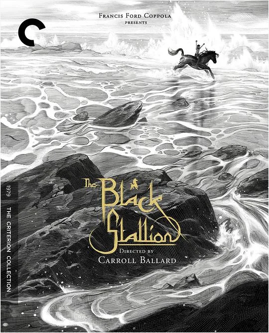 黑神驹 The Black Stallion (1979)