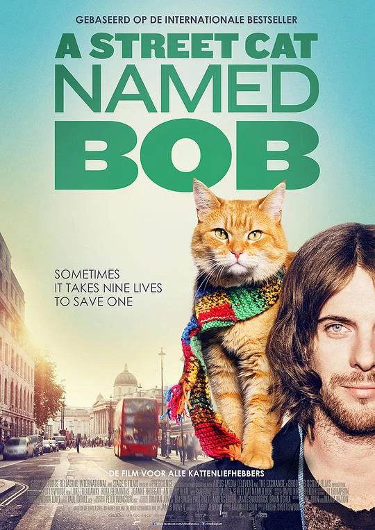 流浪猫鲍勃 A Street Cat Named Bob (2016)