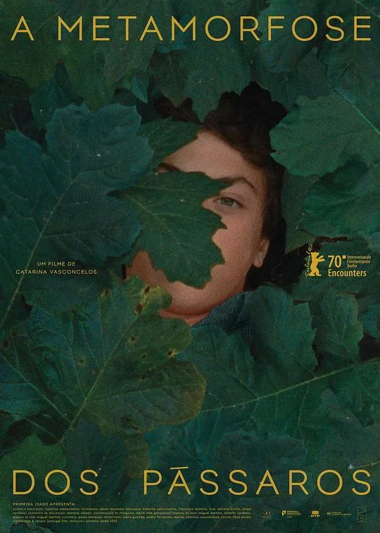鸟类变形记 A Metamorfose dos Pássaros (2020)
