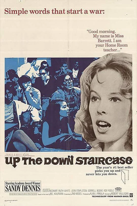 桃李满门 Up the Down Staircase (1967)