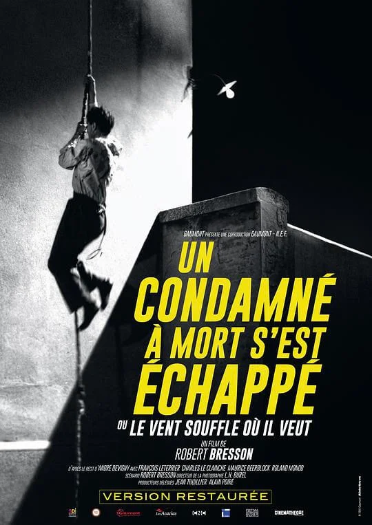 死囚越狱 Un Condamné à mort s'est échappé (1956)