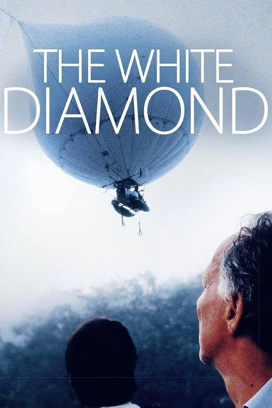白钻石 The White Diamond (2004)