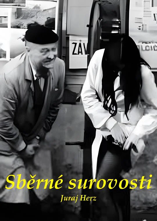 旧货店 Sběrné surovosti (1965)