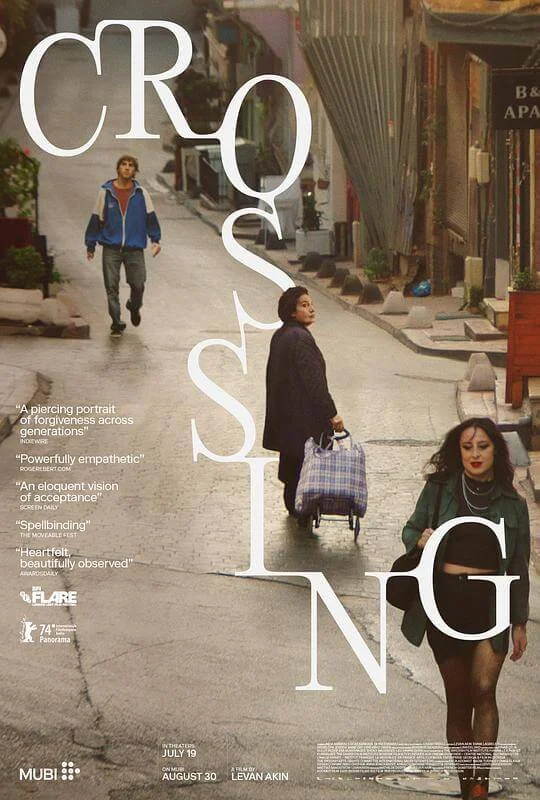 穿行 Crossing (2024)
