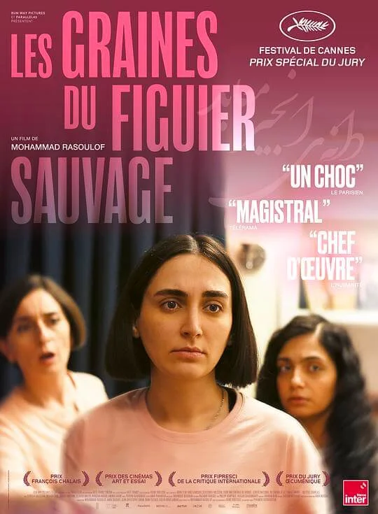 神圣无花果之种 دانه انجیر معابد (2024)