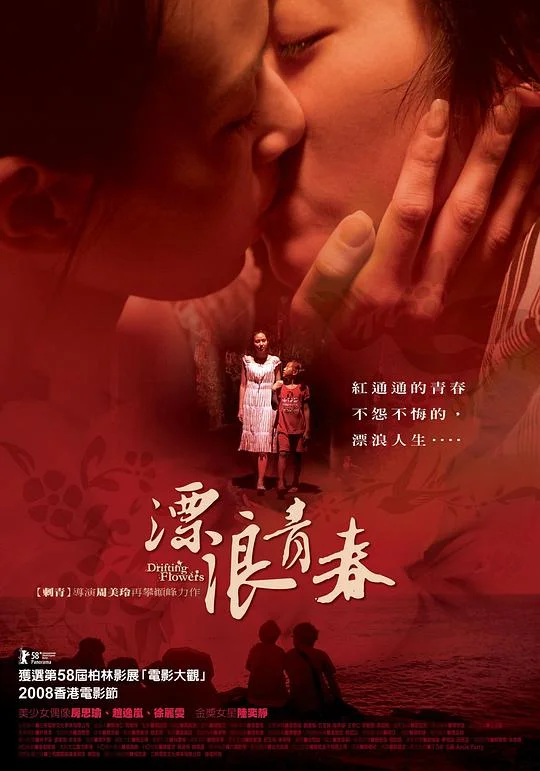 漂浪青春 (2008)