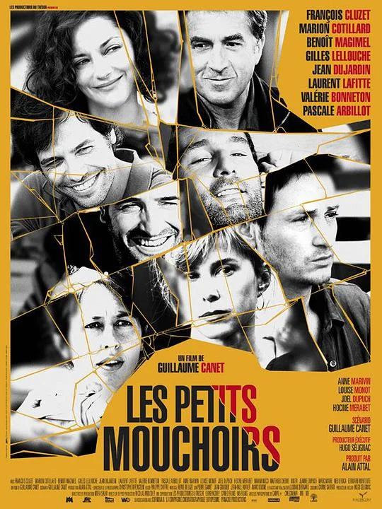 小小的白色谎言 Les petits mouchoirs (2010)